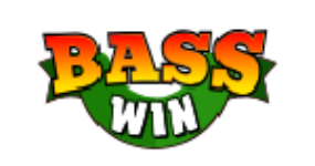 Basswin Casino Online